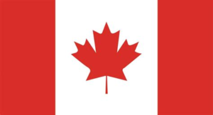 Read more about the article Petition to the House of Commons – 441-02901 (FOREIGN AFFAIRS) 27 Nov 2024