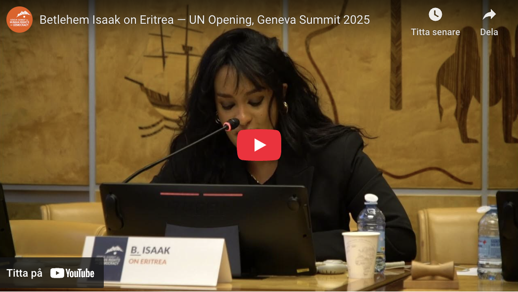 Read more about the article The Geneva Summit for Human Rights and Democracy